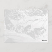  Alaska eskimo Malamute sled race Briefkaart (Achterkant)