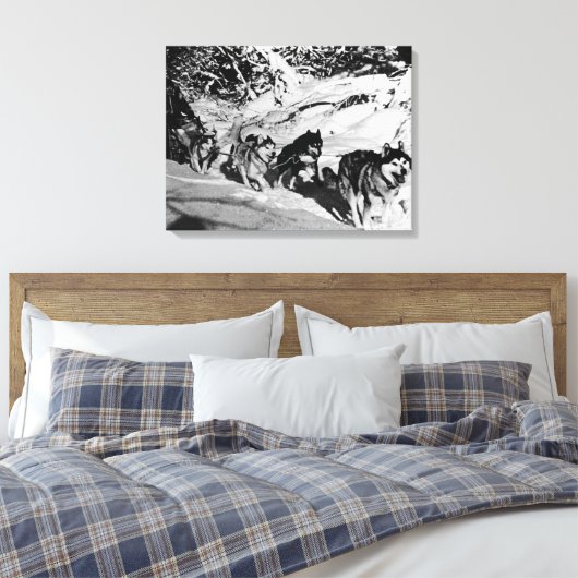 Alaska eskimo Malamute sled race Canvas Afdruk (Insitu (Slaapkamer))