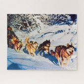 Alaska eskimo Malamute sled race Legpuzzel (Horizontaal)