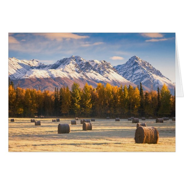 Alaska Farming (Voorkant Horizontaal)