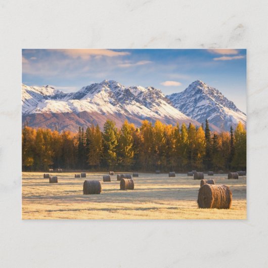 Alaska Farming Briefkaart (Voorkant)