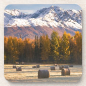 Alaska Farming Onderzetter (Voorkant)