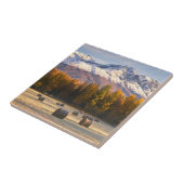 Alaska Farming Tegeltje (Zijkant)