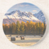 Alaska Farming Zandsteen Onderzetter (Voorkant)