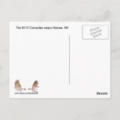 Alaska Ferry Briefkaart (Achterkant)