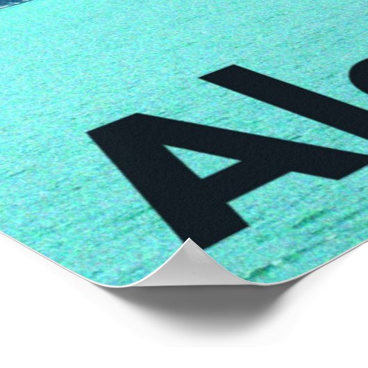 Alaska Ferry Poster (Hoek)