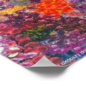 Alaska Fireweed Matt Poster (Hoek)