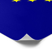 Alaska Flag Poster (Hoek)