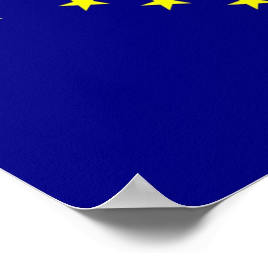 Alaska Flag Poster (Hoek)