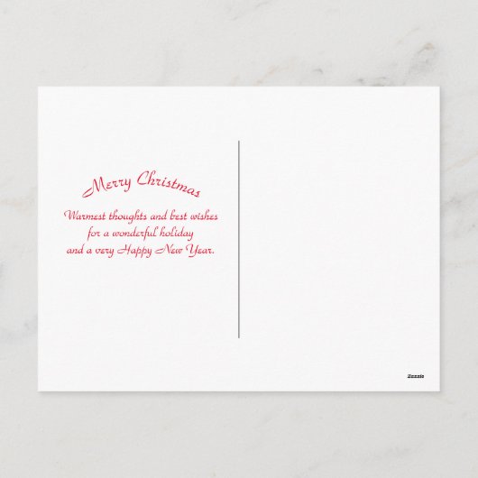 Alaska Floatplane Landscape Foto Kerstmis Feestdagenkaart (Achterkant)