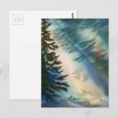 Alaska Forest Briefkaart (Voorkant / Achterkant)