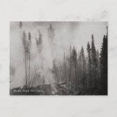 Alaska Forest Fire 1940's Briefkaart (Voorkant)