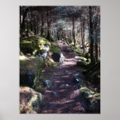 Alaska Forest Trail Poster (Voorkant)