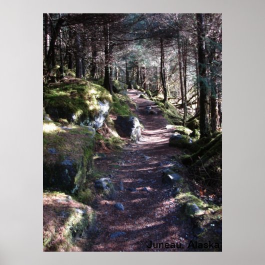 Alaska Forest Trail Poster (Voorkant)