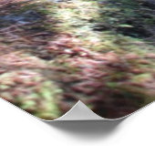 Alaska Forest Trail Poster (Hoek)