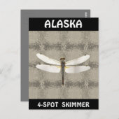 Alaska Four Spot Skimmer Dragonfly Briefkaart (Voorkant / Achterkant)