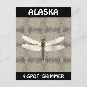Alaska Four Spot Skimmer Dragonfly Briefkaart