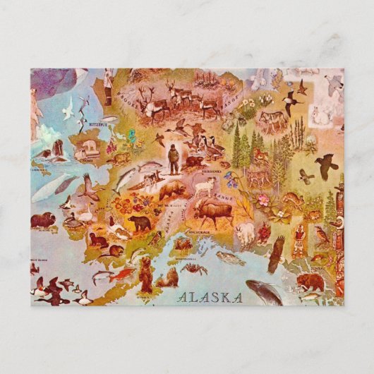Alaska Geïllustreerd  Briefkaart (Voorkant)