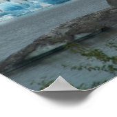 Alaska Glacier Poster (Hoek)