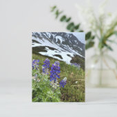 Alaska Glacier Wildflower Mountain Briefkaart (Staand voorkant)