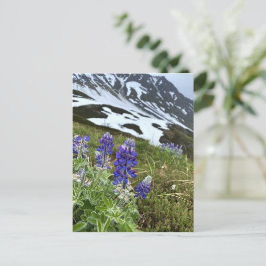Alaska Glacier Wildflower Mountain Briefkaart (Staand voorkant)
