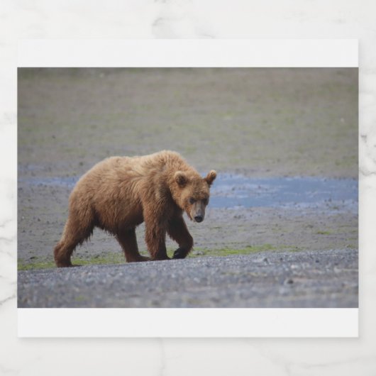 Alaska - Grizzly 9 Bier Etiket (Enkel label)