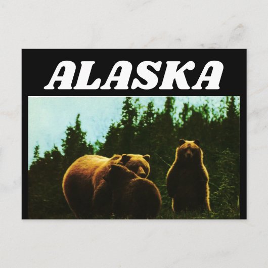 ALASKA  GRIZZLY BEER BRIEFKAART (Voorkant)
