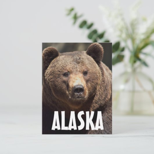 ALASKA GRIZZLY BEER BRIEFKAARTEN (Staand voorkant)