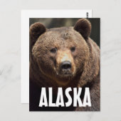 ALASKA GRIZZLY BEER BRIEFKAARTEN (Voorkant / Achterkant)