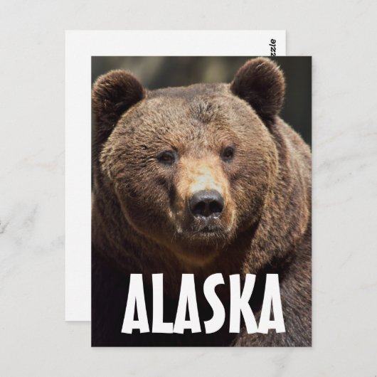 ALASKA GRIZZLY BEER BRIEFKAARTEN (Voorkant / Achterkant)