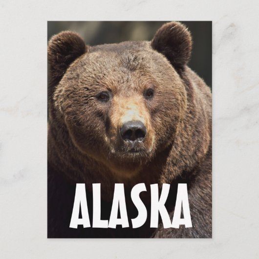 ALASKA GRIZZLY BEER BRIEFKAARTEN (Voorkant)
