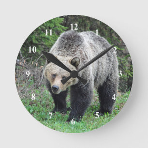 Alaska Grizzly Beer Wildlife Foto Ronde Klok