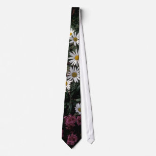 Alaska/Hall Island wildbloemen, Arctic daisy,Lou Stropdas
