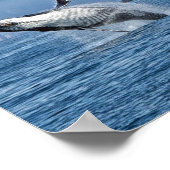 Alaska Humpback Whale Wildlife Foto Poster (Hoek)