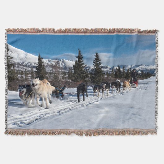 Alaska Husky Dog Sled Race Deken (Voorkant)