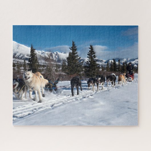 Alaska Husky Dog Sled Race Legpuzzel (Horizontaal)