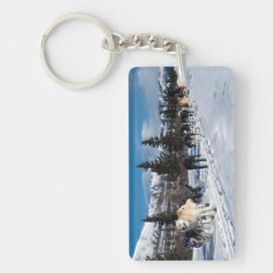 Alaska Husky Dog Sled Race Sleutelhanger