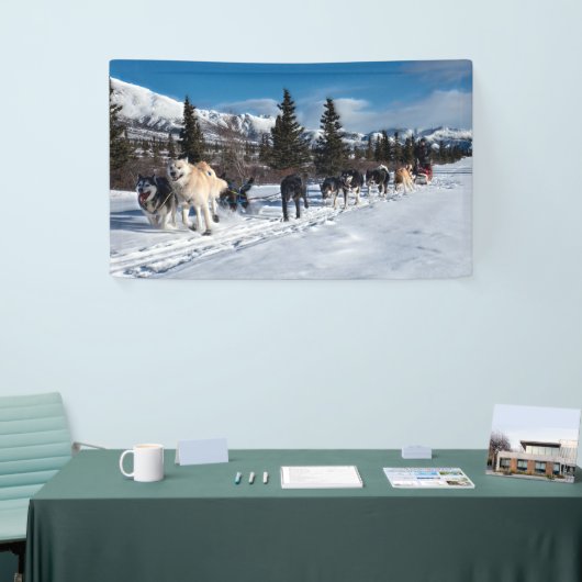 Alaska Husky Dog Sled Race Spandoek (Beurs)