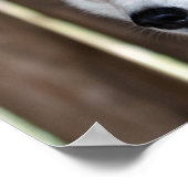 Alaska Husky slee hond mooie kunst print (Hoek)