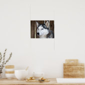 Alaska Husky slee hond mooie kunst print (Keuken)