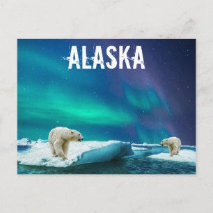 Alaska Ijsberen Aurora Borealis Briefkaart
