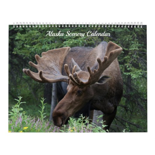 Alaska Kalender - Beschikbaar voor elk jaar! (Hoes)