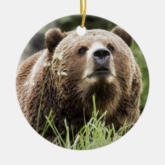 ALASKA KERAMISCH ORNAMENT (Voorkant)