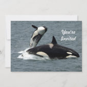 Alaska Killer Whale Foto Verjaardag Kaart (Voorkant)