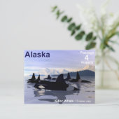 Alaska Killer Whales Stamp Briefkaart (Staand voorkant)