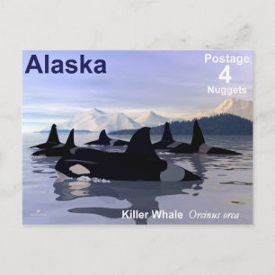 Alaska Killer Whales Stamp Briefkaart