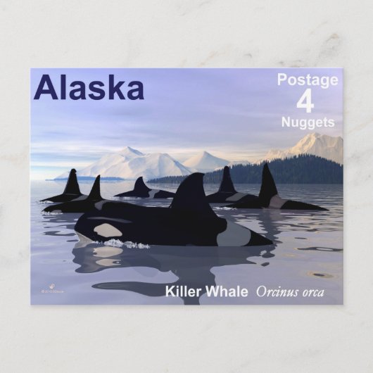 Alaska Killer Whales Stamp Briefkaart (Voorkant)
