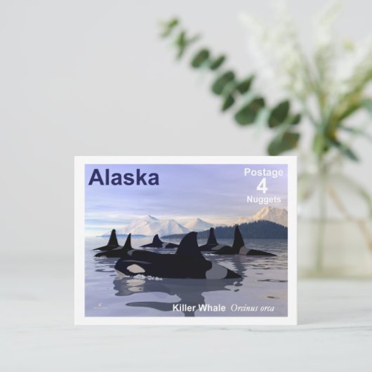Alaska Killer Whales Stamp Briefkaart (Staand voorkant)