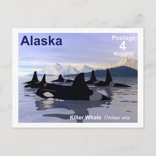 Alaska Killer Whales Stamp Briefkaart (Voorkant)