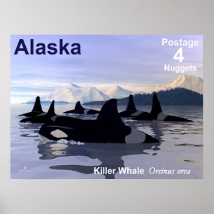 Alaska Killer Whales Stamp Poster